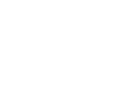 logo cleanfridys white 500.fw